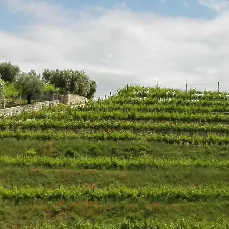 Oda ve Kahvaltı Corte Giare